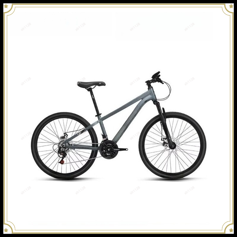 Mountain Bike Variable Speed B – Commuter Biking Bewertung und Preis