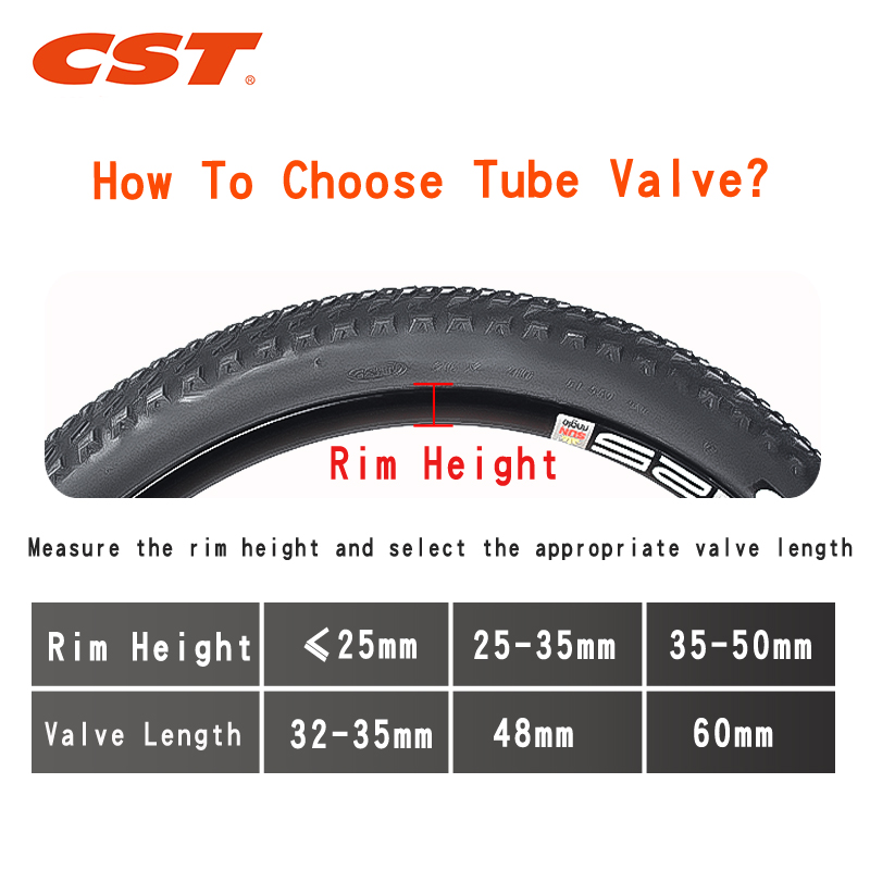 2PCS CST Bike Inner Tubes 20in – Inner Tube 700C Bewertung und Preis
